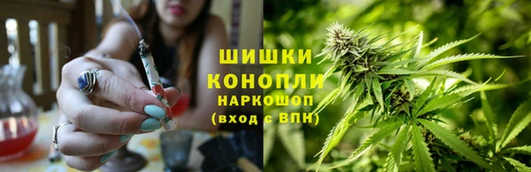 СК Абаза
