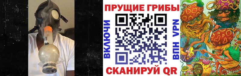 Псилоцибиновые грибы Psilocybine cubensis  Струнино 